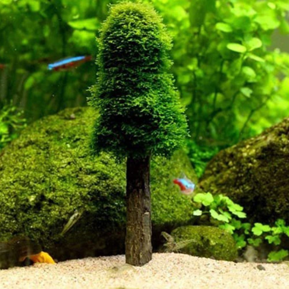 Planted Aquarium Moss - Simulierter Weihnachtsbaum Aquarium-Moos-Pflanzenhalter Mini-Baumform Aquariumzubehör Aquariumdekoration