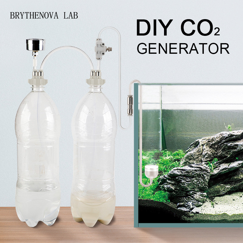 Planted Aquarium Moss - CO2-Generator für Aquarien: CO2-System-Kit mit Ventil