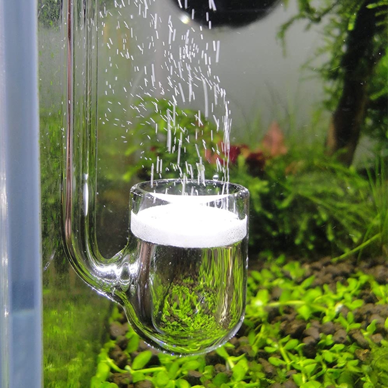 Aquarium Plant Design - D0AD Glas-CO2-Diffusor für Aquarium, bepflanzt für