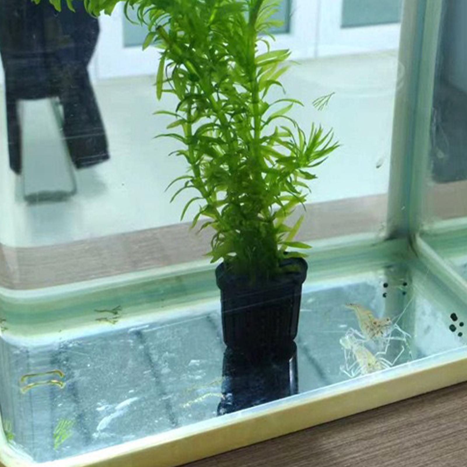 Aquarium Planted Background - 4-teiliges Hydroponisches Pflanzenkorb-Set Aquarium-Pflanzgefäß Fischbecken-Pflanzenhalter mit