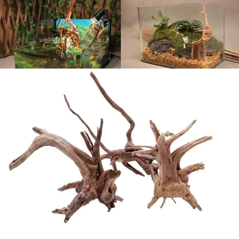 Aquarium Plant Rings - Natürlicher Baumstamm Treibholz Aquarium Aquarium Reptilien