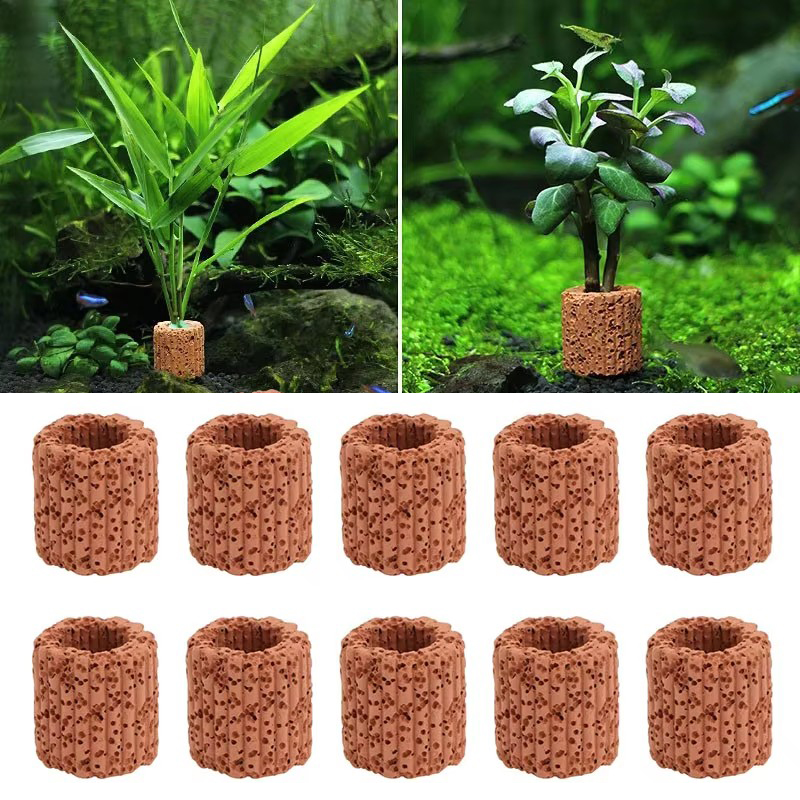 Aquarium Plant Rings - Fester Ring für Wasserpflanzen für Aquarien,