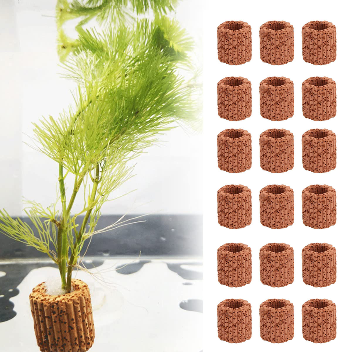 Aquarium Plant Rings - 10/20pcs Wasser wasser pflanze feste Ring