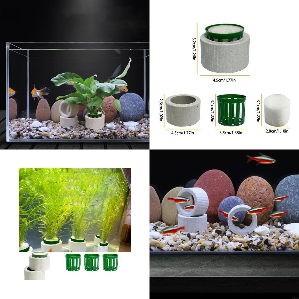 Aquarium Planted Background - 37ME 10-teiliges Aquariumpflanzen-Festringe-Set, Keramik-Aquarium-Pflanzenringe mit Korb
