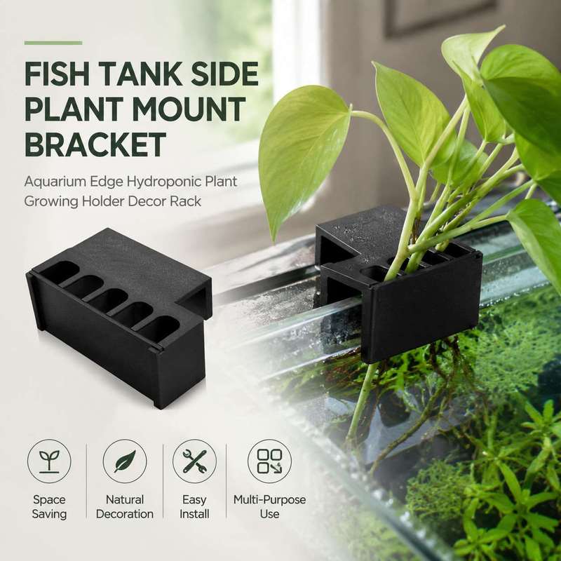 Aquarium Plant Design - Aquarium-Seitenhalterung für Pflanzen, Hydroponischer Pflanzenhalter für
