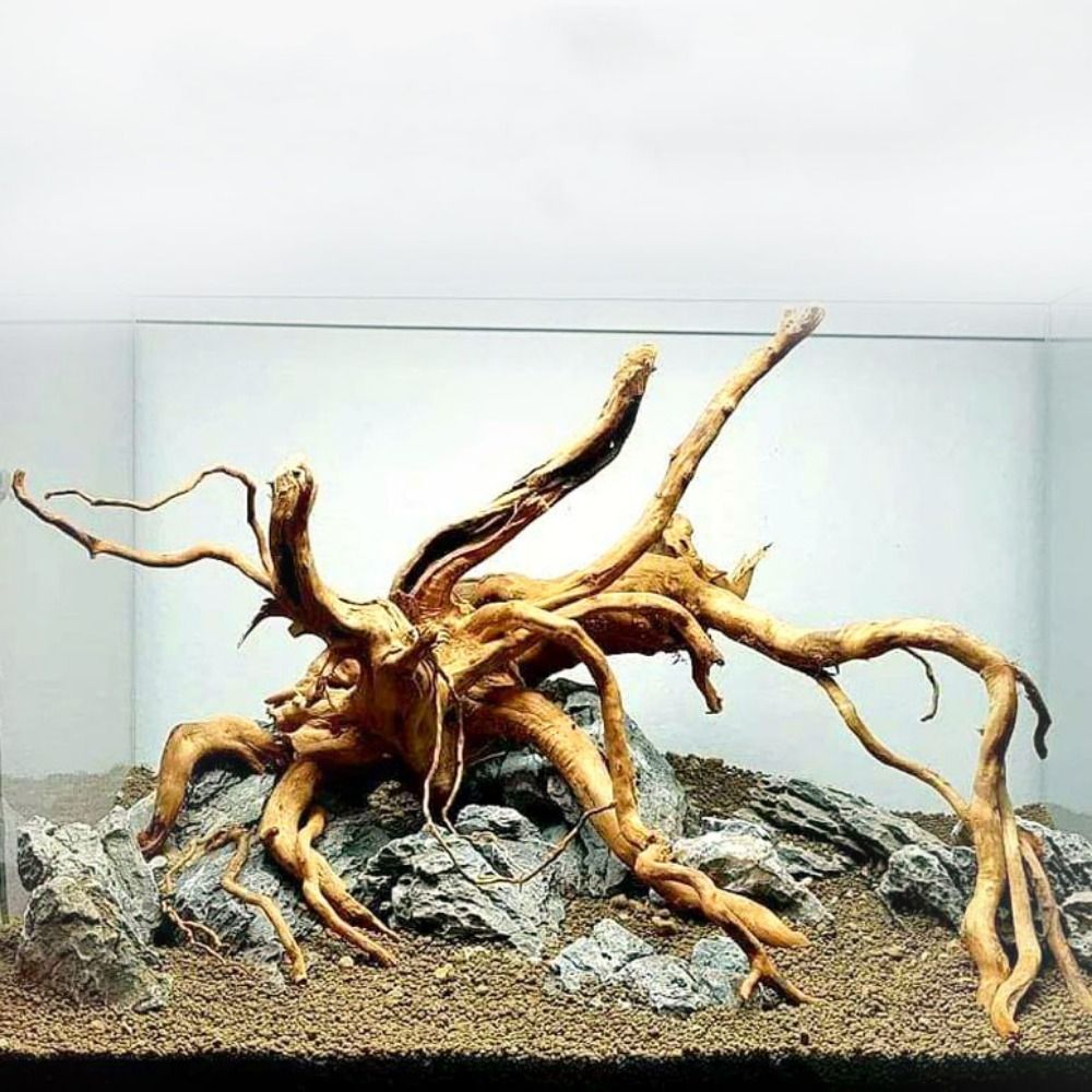 Aquarium Plant Rings - 20-25CM Großes Aquarium-Treibholz, Natürliche Fischbecken-Pflanzendekoration, Baumstumpf