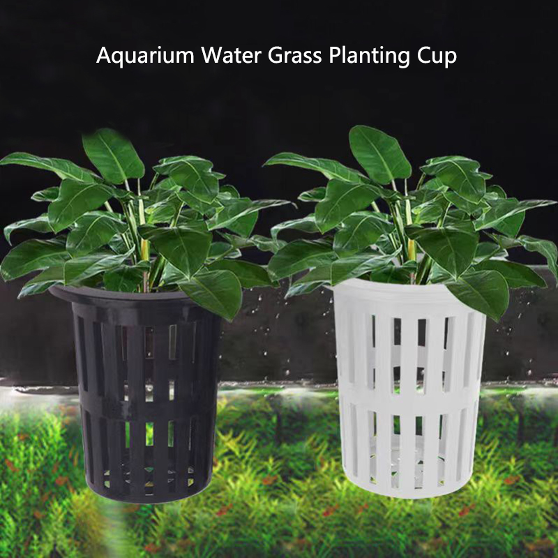Aquarium Plant Rings - 1/3Pcs Aquarium Pflanzen Korb Wand-Montiert Hydrokultur