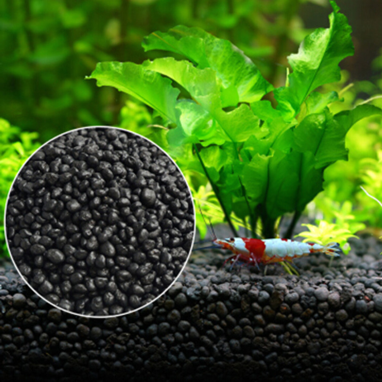 Planted Aquarium Moss - Aquarium Pflanzen Samen Boden Fishtank Substrat