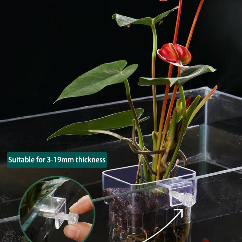 Aquarium For Planted Tank - Multifunktion ale Fisch Aquarium Wasser Gras