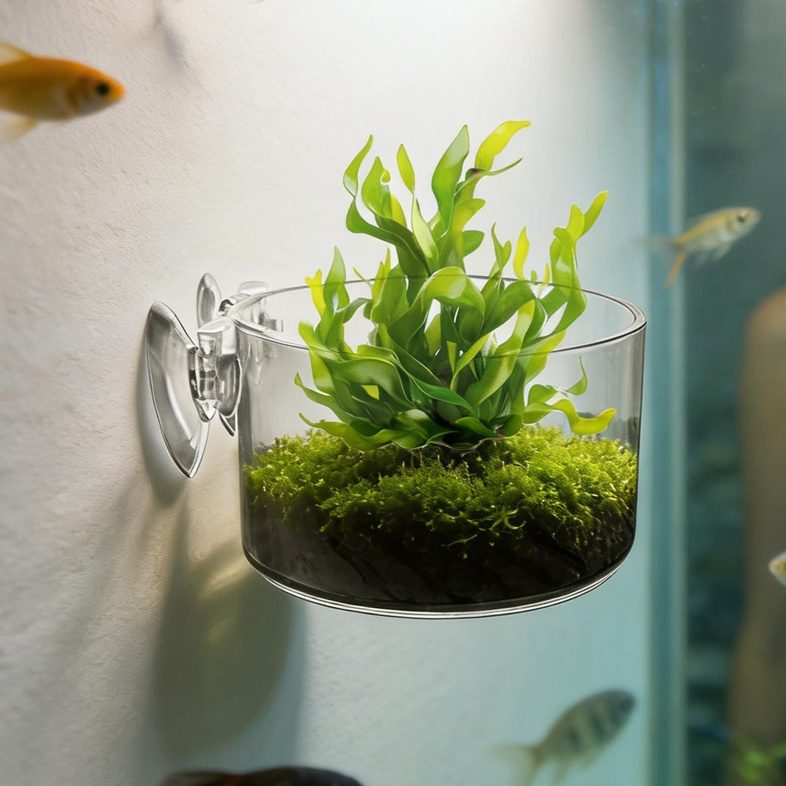 Aquarium Planted Background - Aquarium-Pflanzenhalter aus Acryl, Aquatischer Pflanzentopf für