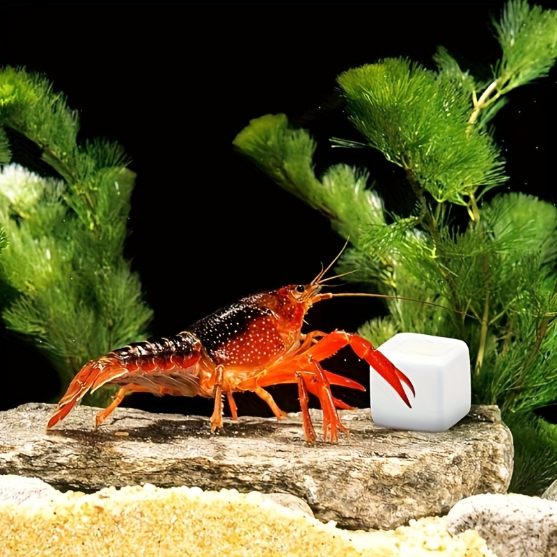 Aquarium Plant Rings - 6-teiliger Aquarium-Kalziumblock, Mineralien, Aquarium-Versorgung, Krabbelwürfel für