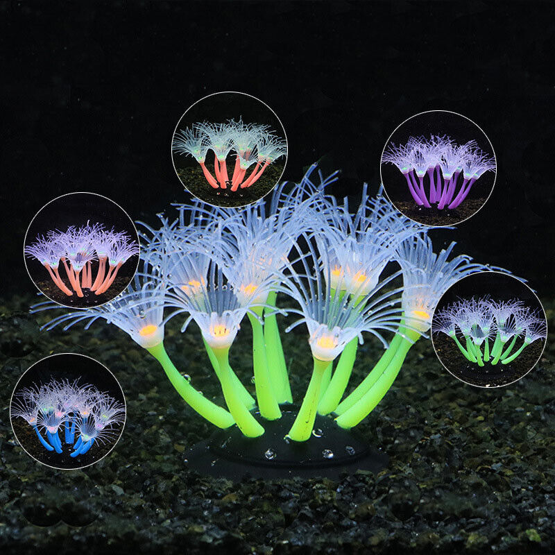 Leuchtende Silikon-Korallen un – Aquarium Plant Design Bewertung und Preis