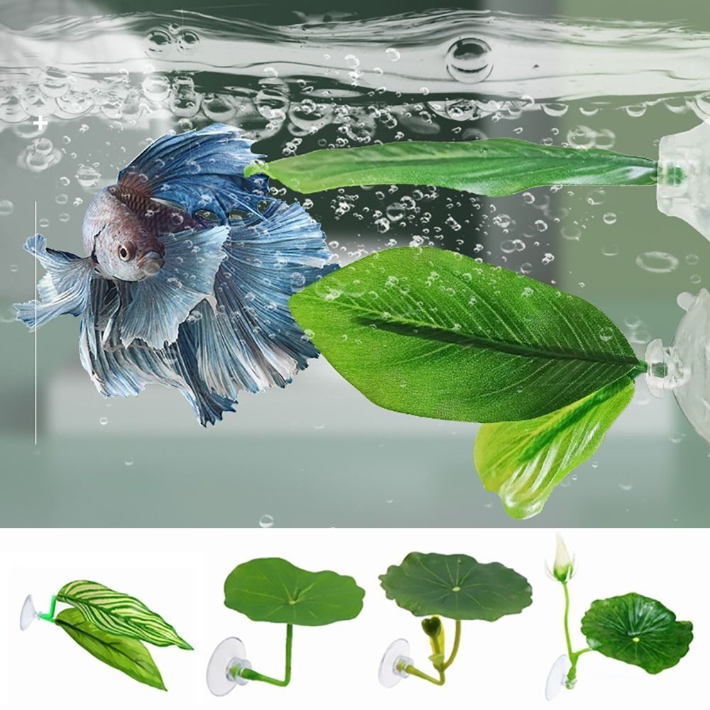 Kunststoff Betta Fisch Rest Bl – Aquarium Plant Rings Bewertung und Preis