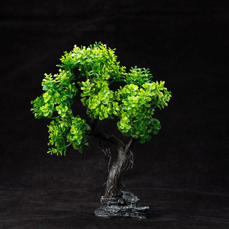 Neue Simulation Moos Baum Aqua – Planted Aquarium With Sand Bewertung und Preis