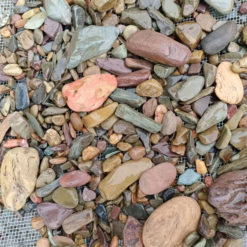 500g Aquarium Boden Sand Stein – Planted Aquarium With Sand Bewertung und Preis