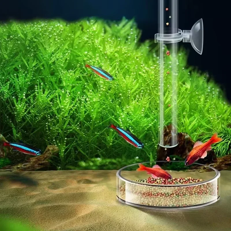 Aquarium Glas-Fütterungsrohr & – Aquarium Plant Red Bewertung und Preis