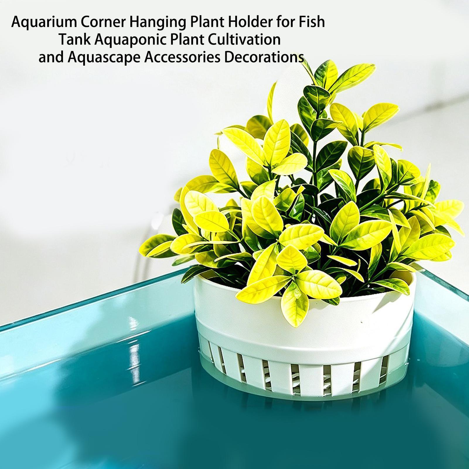 Aquarium-Pflanzenkorb Hydropon – Aquarium Planted Background Bewertung und Preis