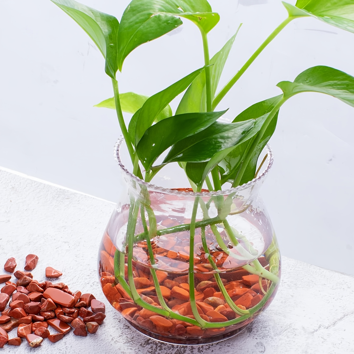 Roter Jaspis-Trommelstein – na – Aquarium Plant Red Bewertung und Preis
