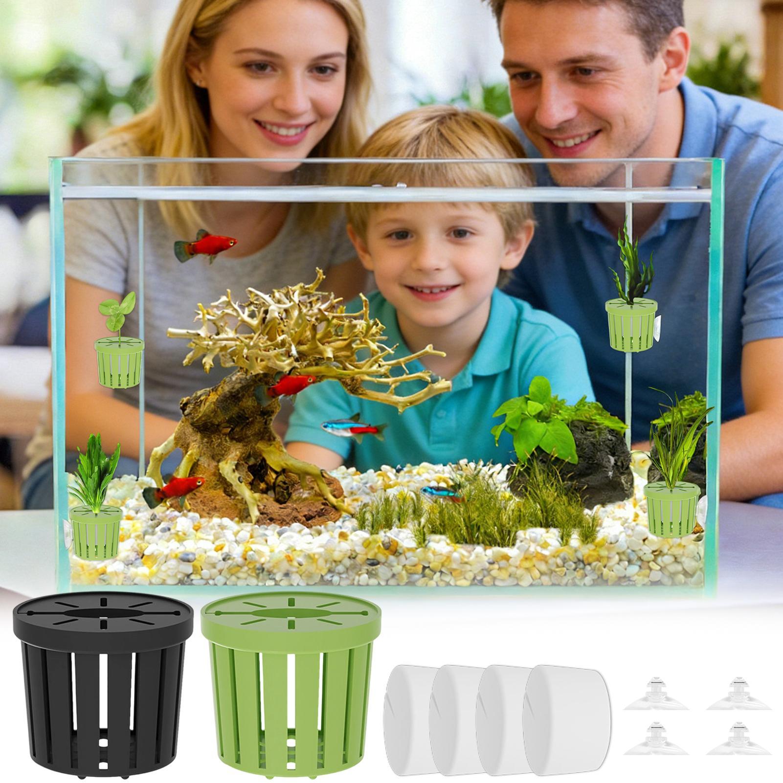 4-teiliges Hydroponisches Pfla – Aquarium Planted Background Bewertung und Preis