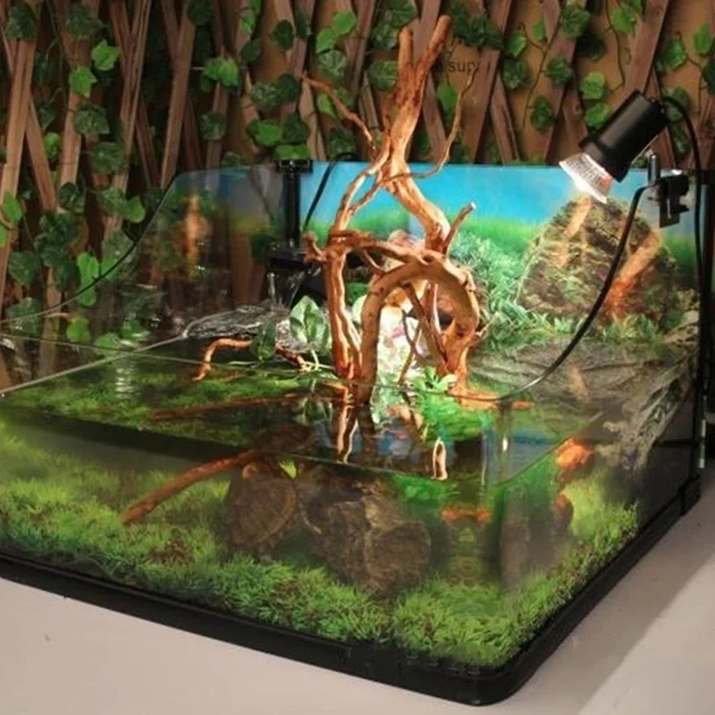 Natürlicher Baumstamm Treibhol – Aquarium Plant Rings Bewertung und Preis