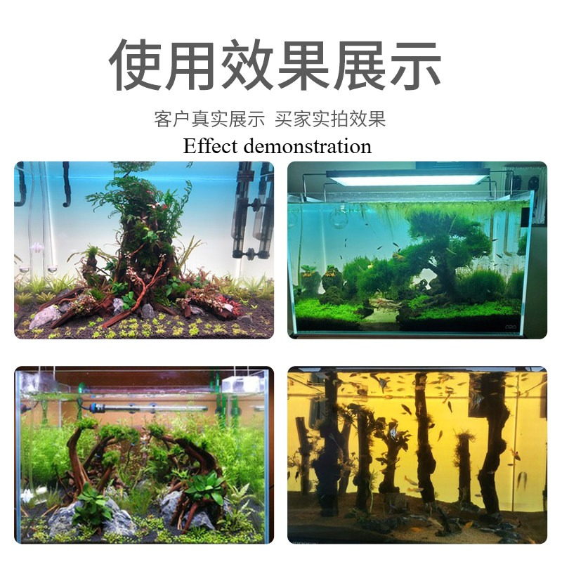 Maßgefertigtes LED-Aquarium-Hi – Aquarium Planted Background Bewertung und Preis