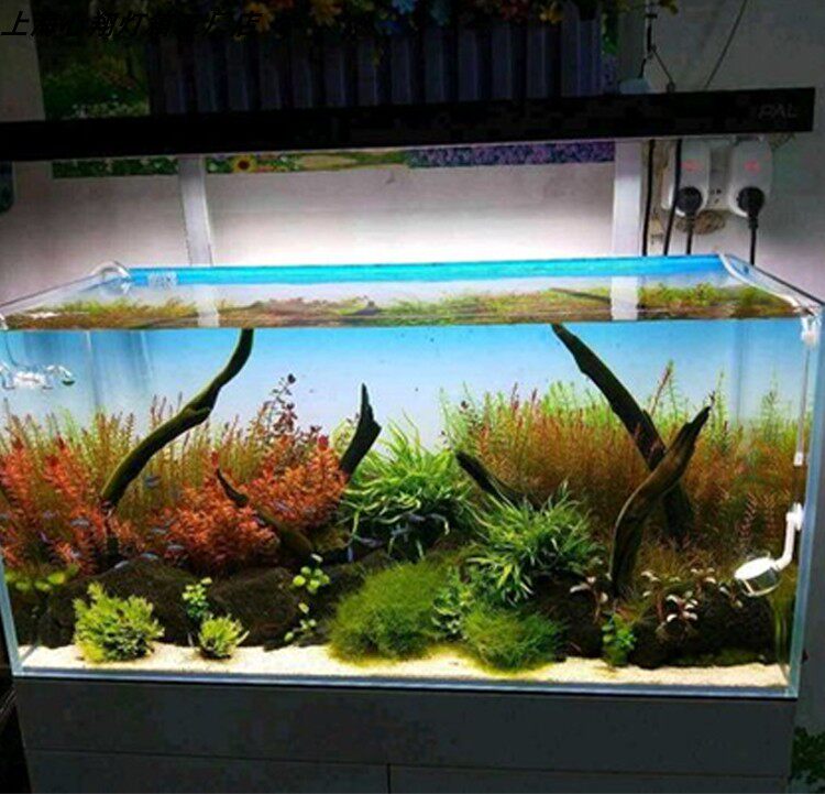 Maßgefertigtes LED-Aquarium-Hi – Aquarium Planted Background Bewertung und Preis
