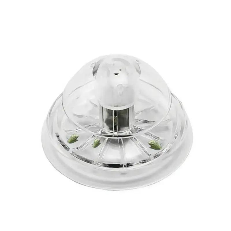 2026 Neu 6/8CM Klare Plastik-S – Aquarium For Planted Tank Bewertung und Preis