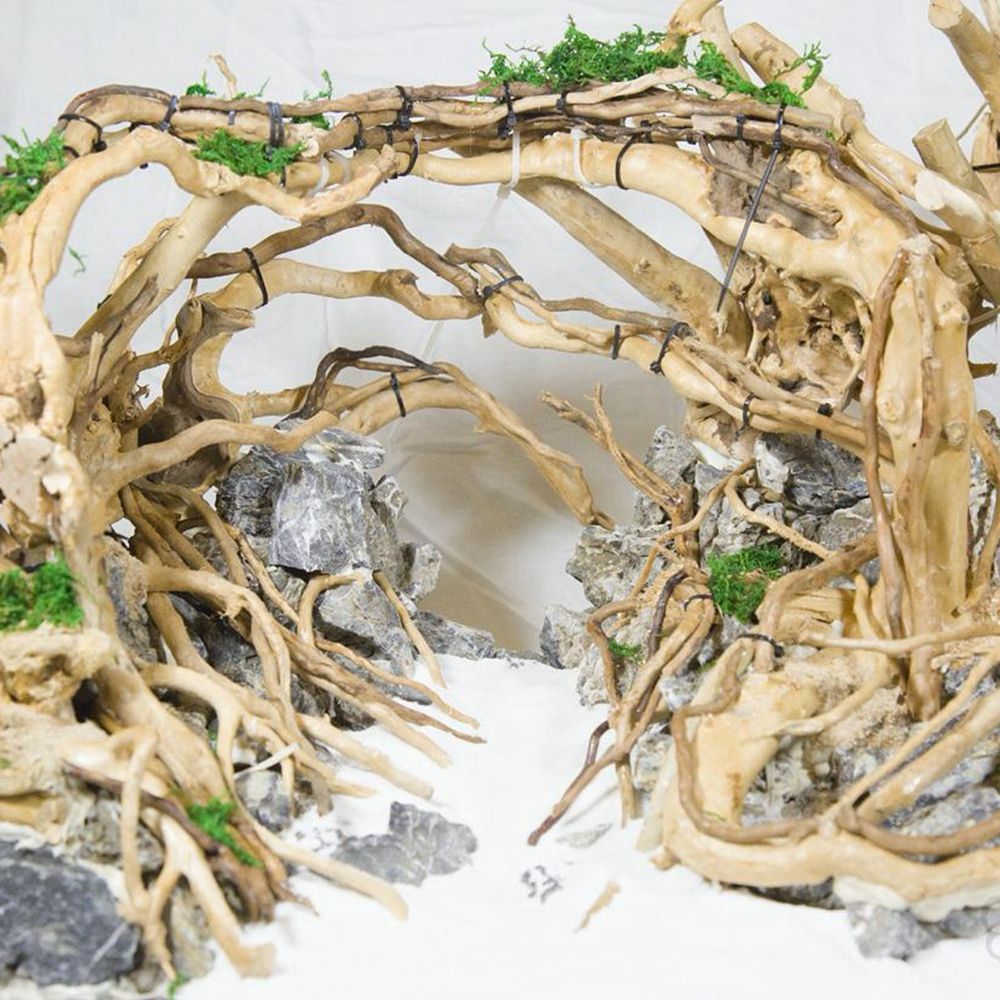 Holz N1N Reptilien-Terrarium H – Aquarium Planted Background Bewertung und Preis