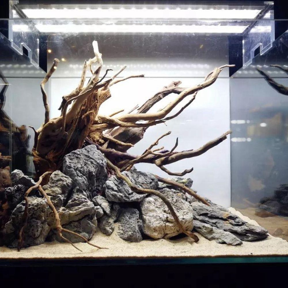 Holz N1N Reptilien-Terrarium H – Aquarium Planted Background Bewertung und Preis