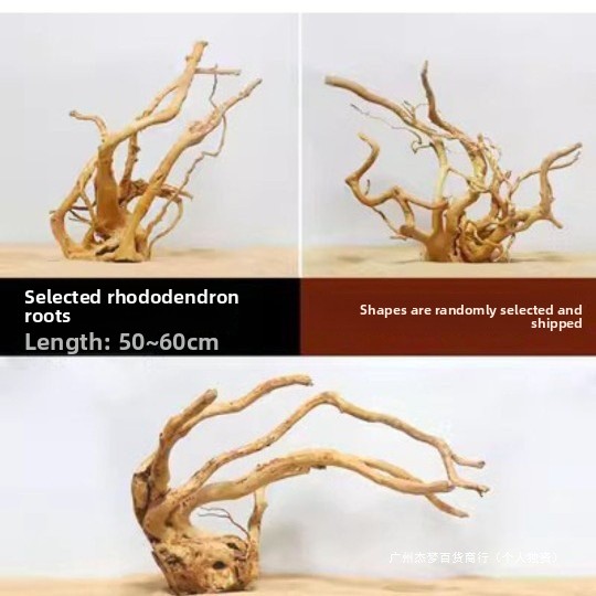 Natürliche Treibholzäste für d – Aquarium For Planted Tank Bewertung und Preis