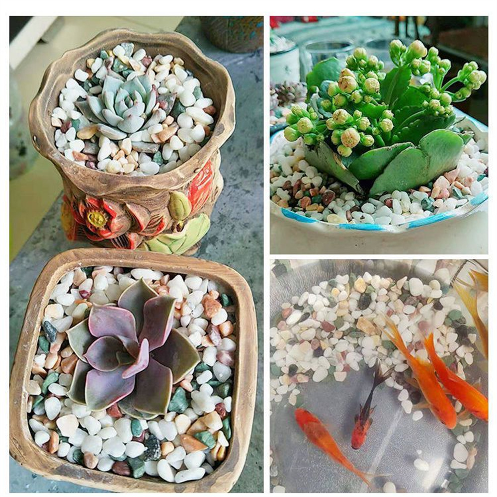 50/100g Natürliche Kristalle K – Planted Aquarium With Sand Bewertung und Preis