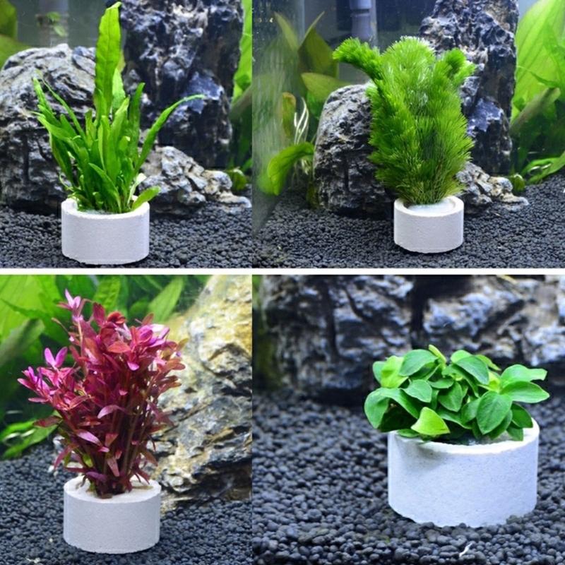 37ME 10-teiliges Aquariumpflan – Aquarium Planted Background Bewertung und Preis