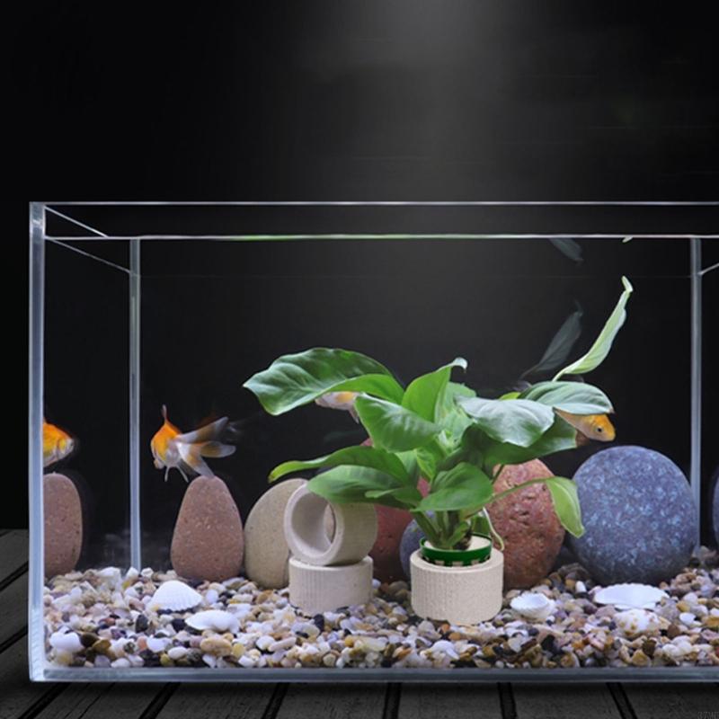 37ME 10-teiliges Aquariumpflan – Aquarium Planted Background Bewertung und Preis