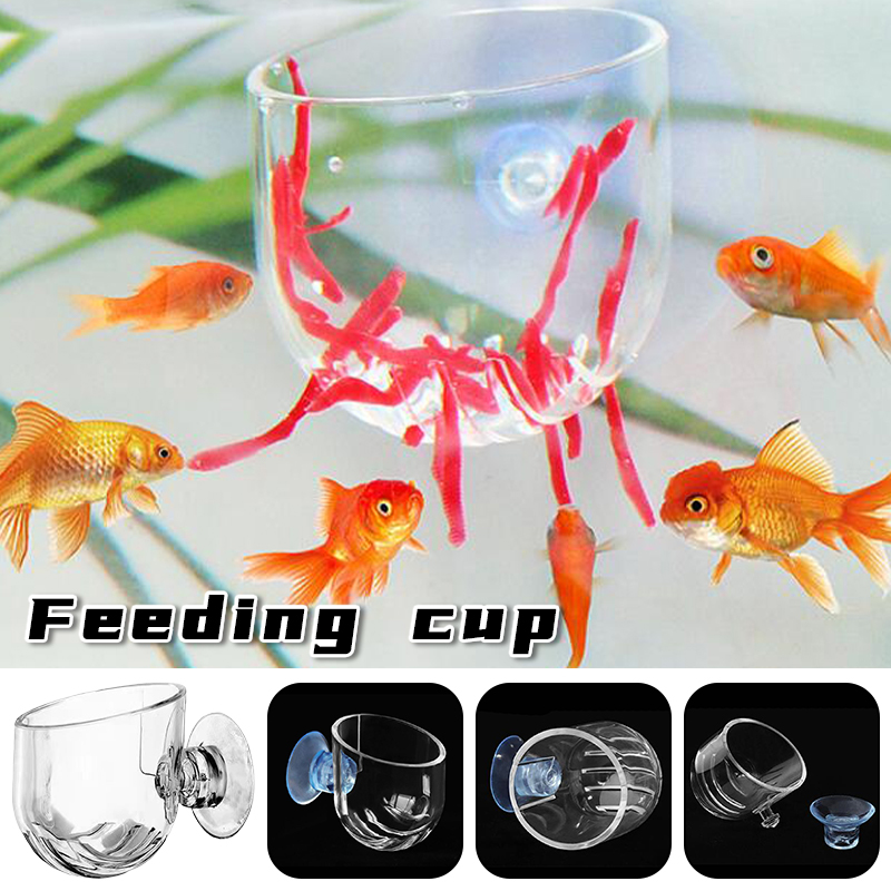 Aquarium Rot Wurm Feeder Tasse – Aquarium Plant Red Bewertung und Preis