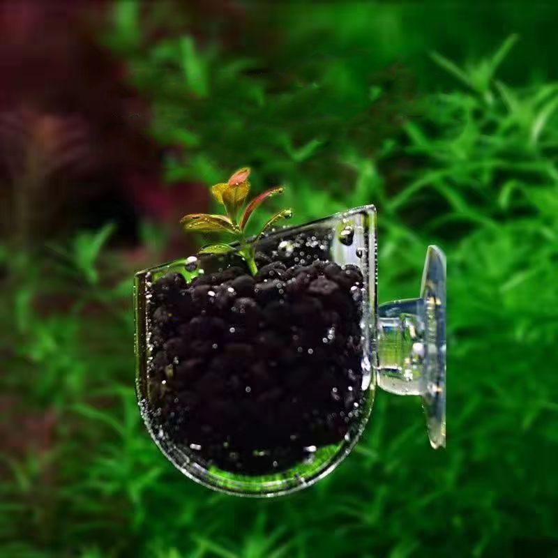 Aquarium Rot Wurm Feeder Tasse – Aquarium Plant Red Bewertung und Preis