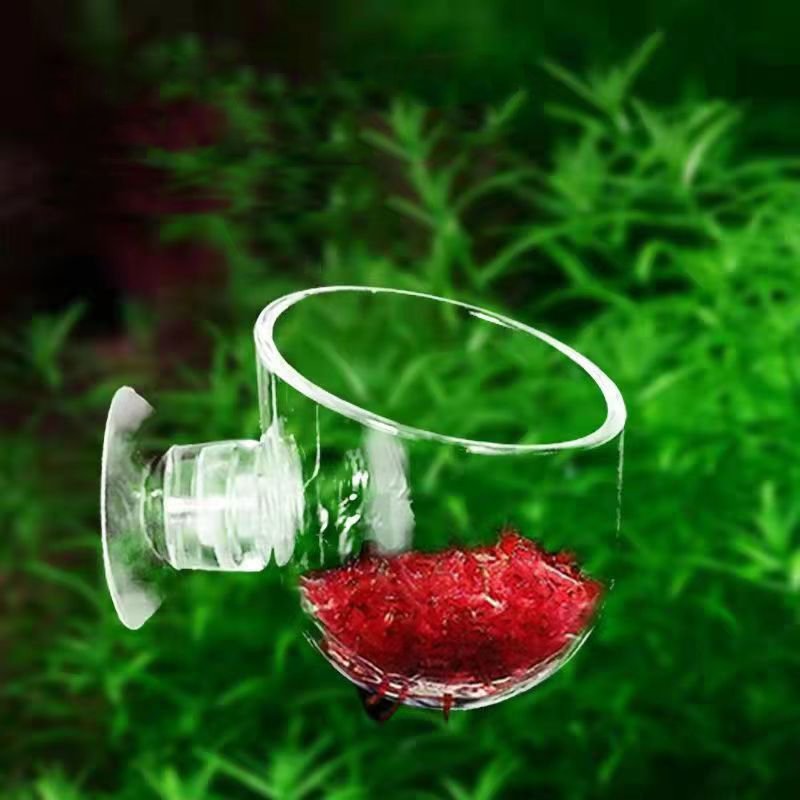 Aquarium Rot Wurm Feeder Tasse – Aquarium Plant Red Bewertung und Preis