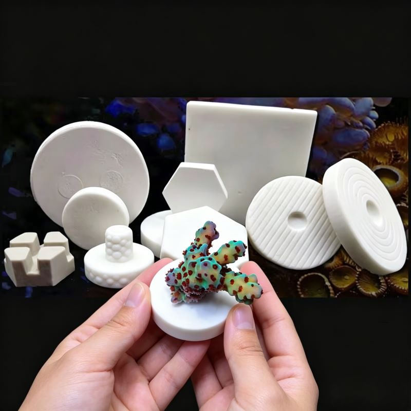 SPS Keramik-Korallen-Frag-Plat – Aquarium Plant Design Bewertung und Preis