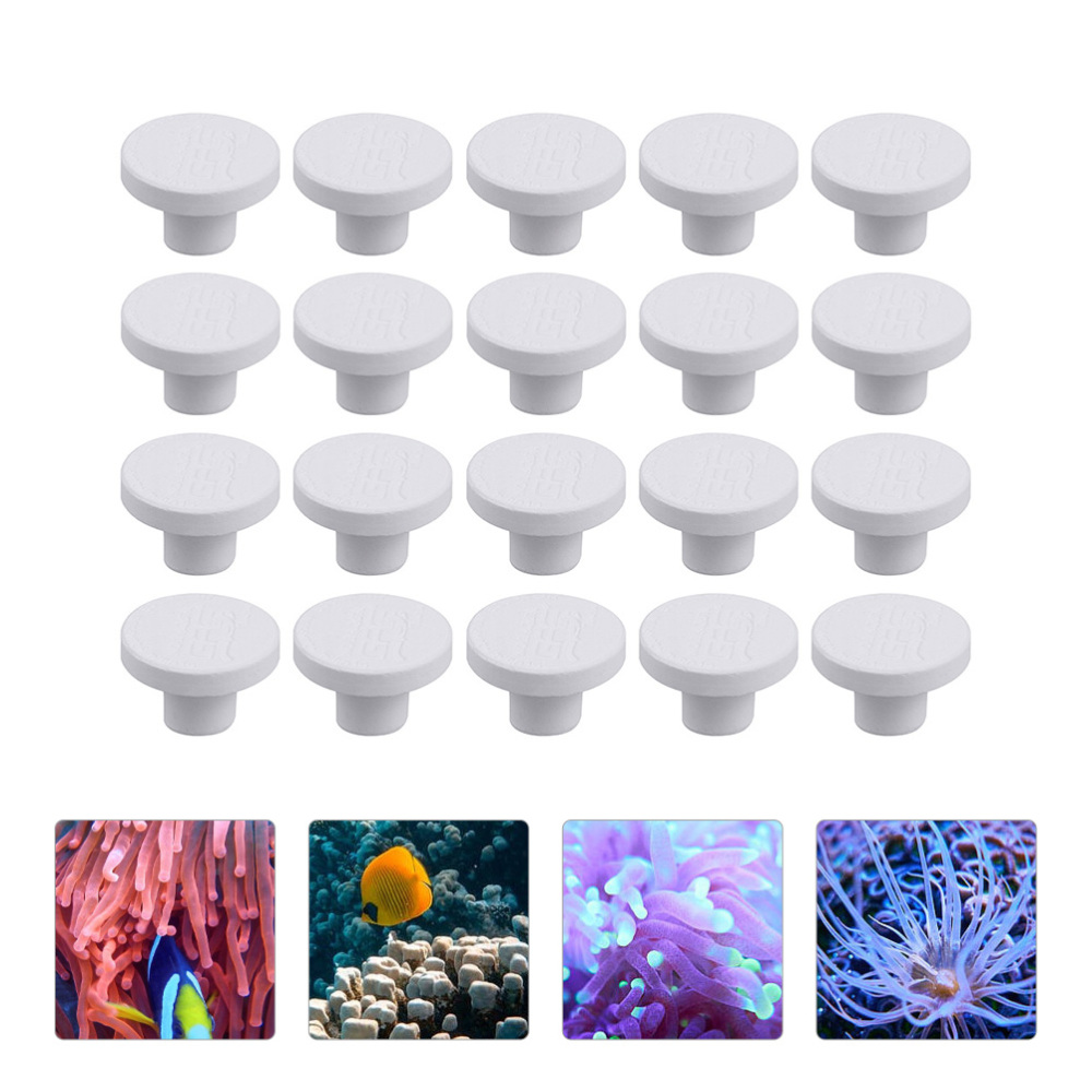 SPS Keramik-Korallen-Frag-Plat – Aquarium Plant Design Bewertung und Preis