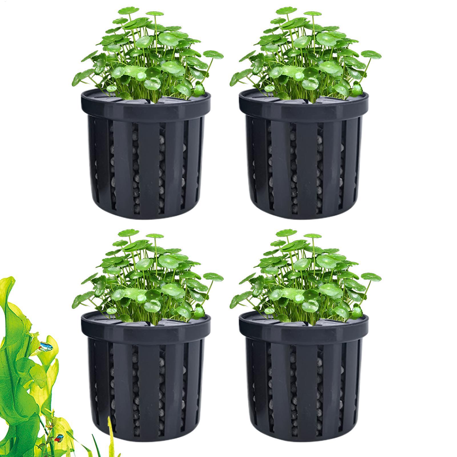 4-teiliger Aquarium-Pflanztopf – Aquarium Plant Rings Bewertung und Preis
