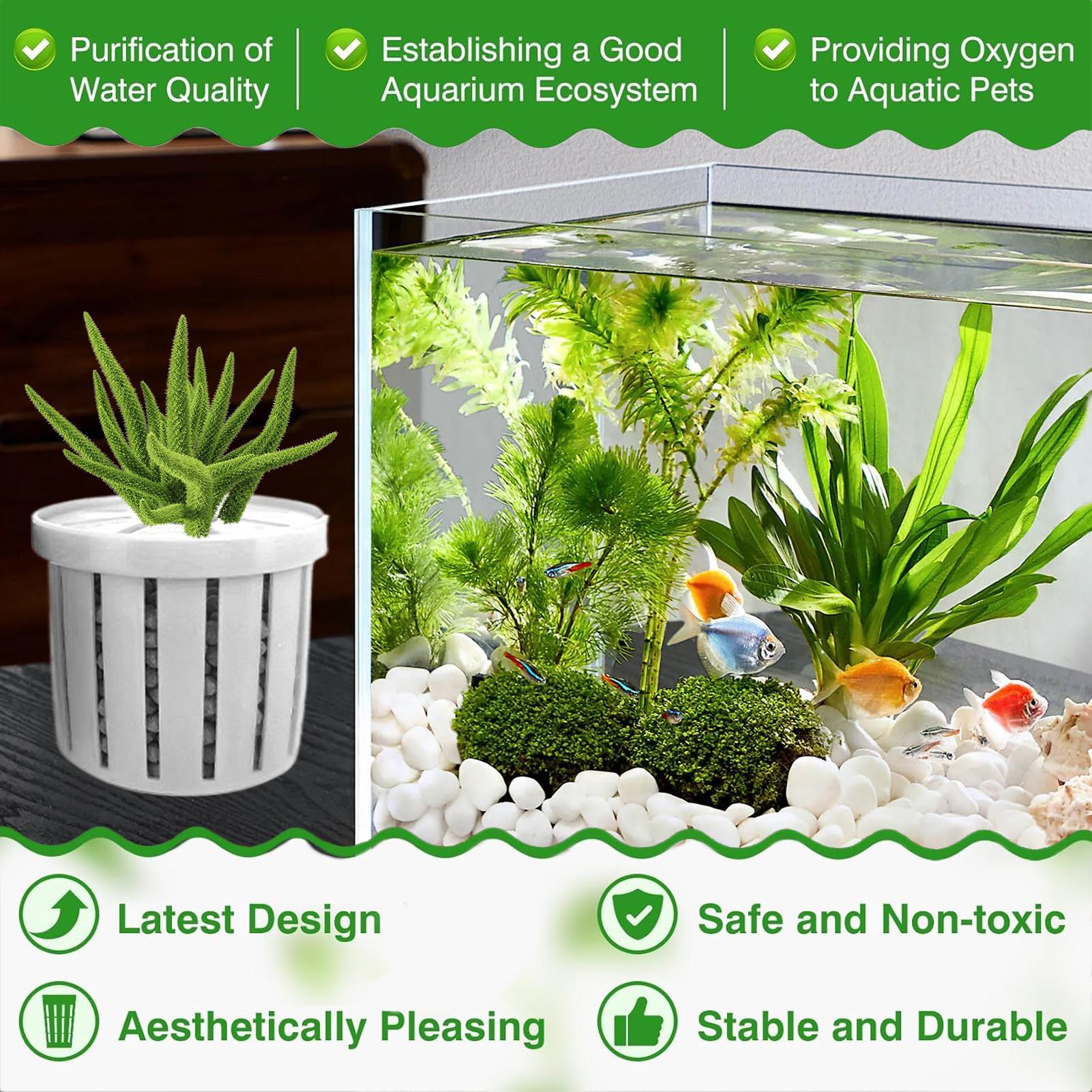 4-teiliger Aquarium-Pflanztopf – Aquarium Plant Rings Bewertung und Preis