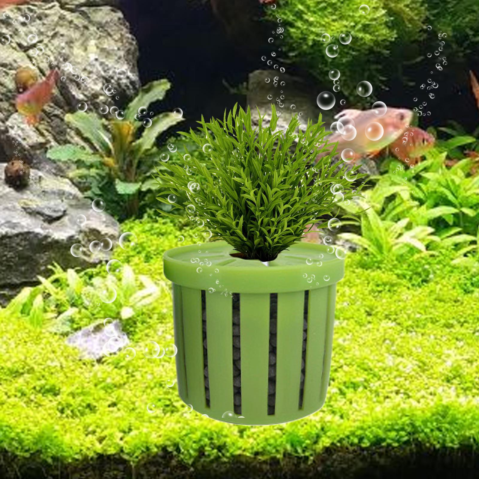4-teiliger Aquarium-Pflanztopf – Aquarium Plant Rings Bewertung und Preis