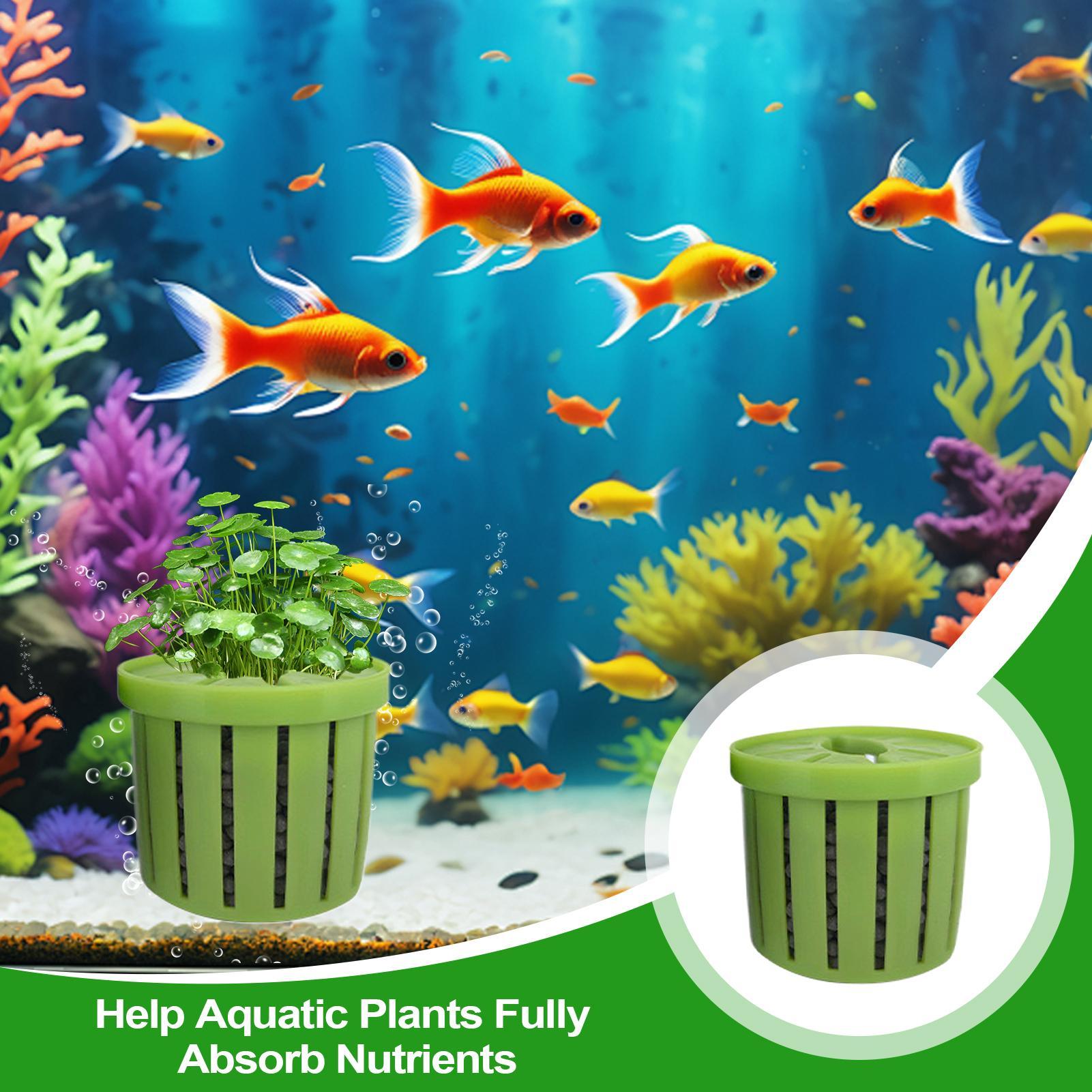 4-teiliger Aquarium-Pflanztopf – Aquarium Plant Rings Bewertung und Preis