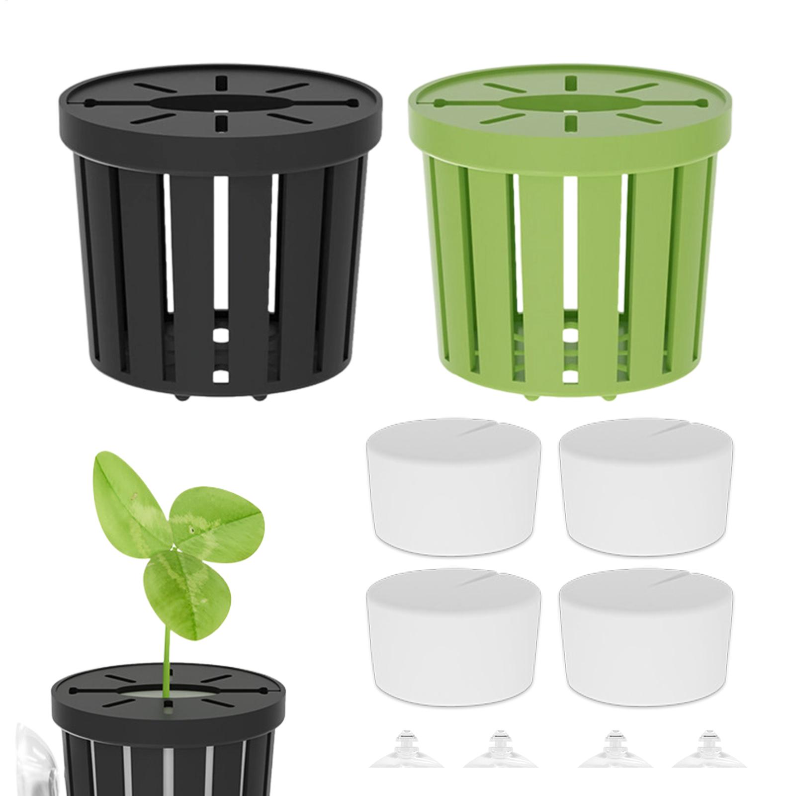 4-teiliges Aquarienpflanzen-Fi – Aquarium Planted Background Bewertung und Preis