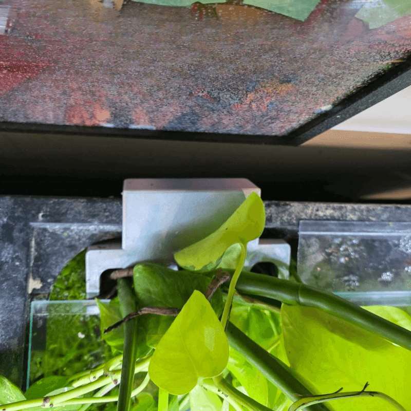 Aquarium-Seitenhalterung für P – Aquarium Plant Design Bewertung und Preis