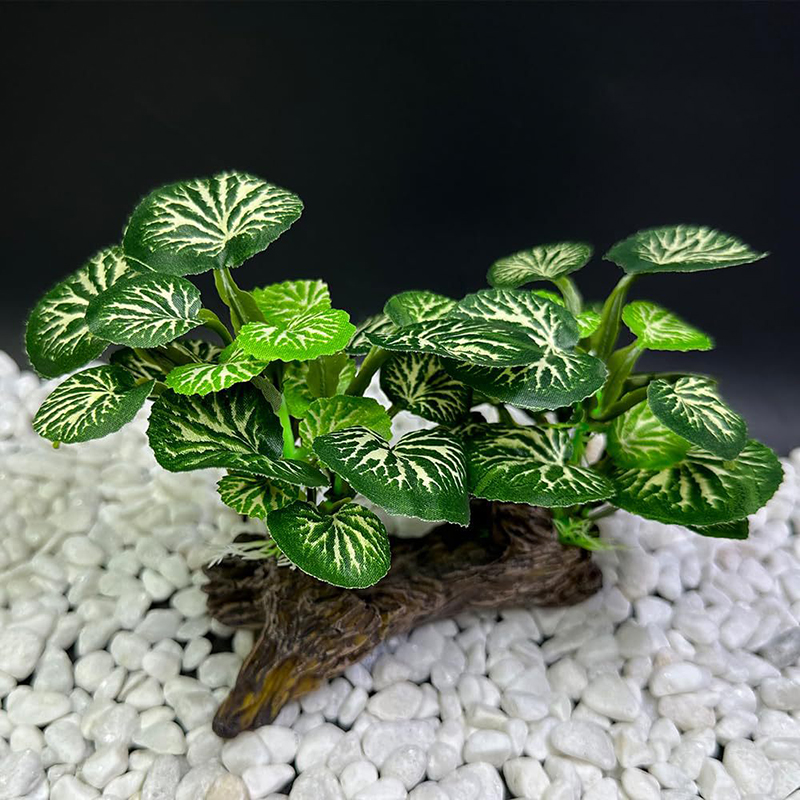 Künstliche Unterwasser Gras Aq – Aquarium Planted Background Bewertung und Preis