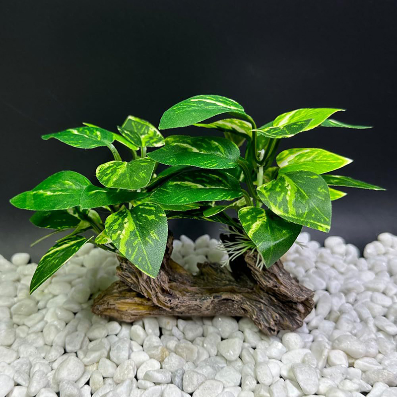 Künstliche Unterwasser Gras Aq – Aquarium Planted Background Bewertung und Preis