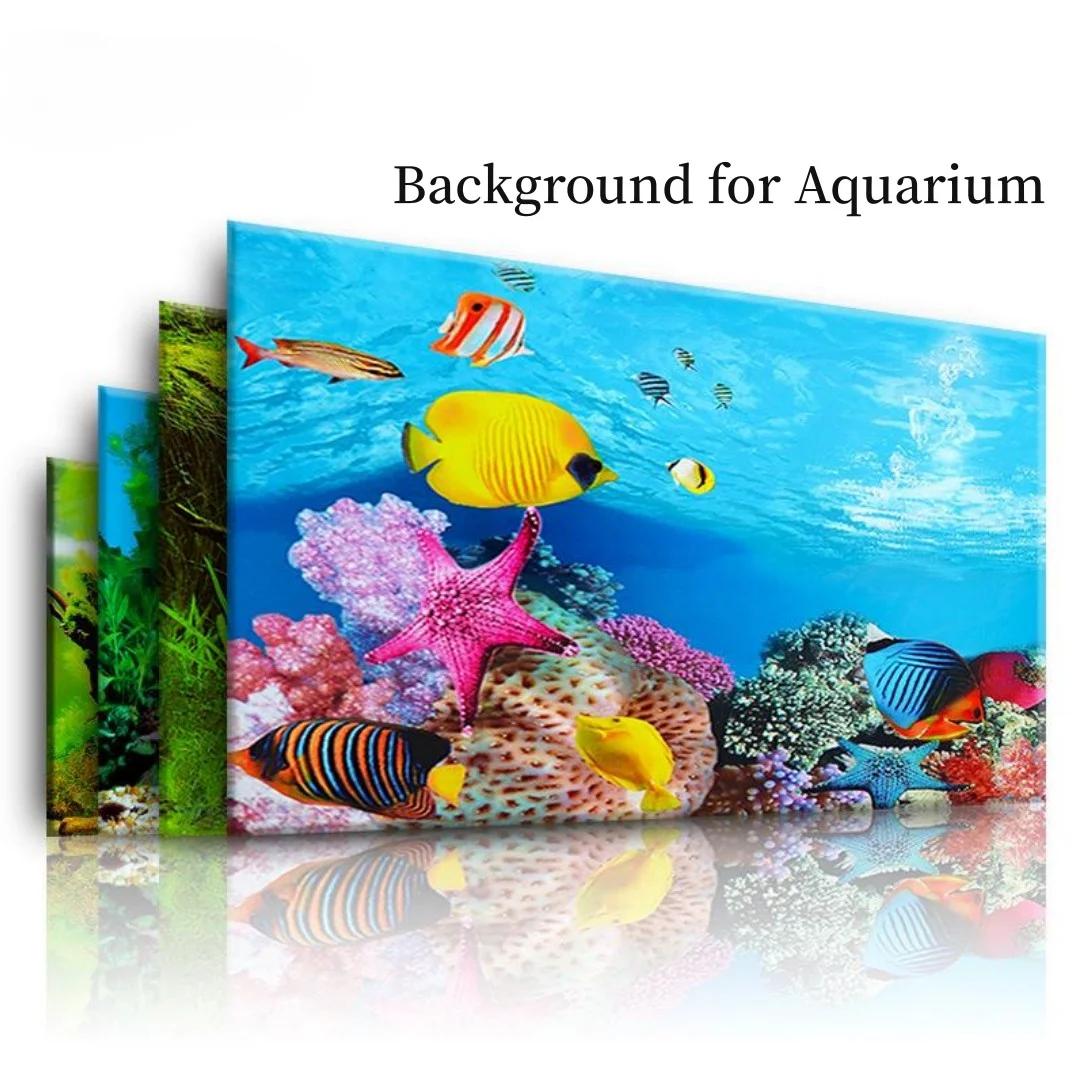 Hintergrund Aquarium 3D Aufkle – Aquarium Planted Background Bewertung und Preis