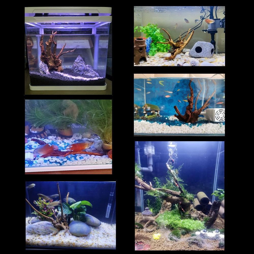 Natürliche Baumstamm Aquarium  – Aquarium Plant Rings Bewertung und Preis