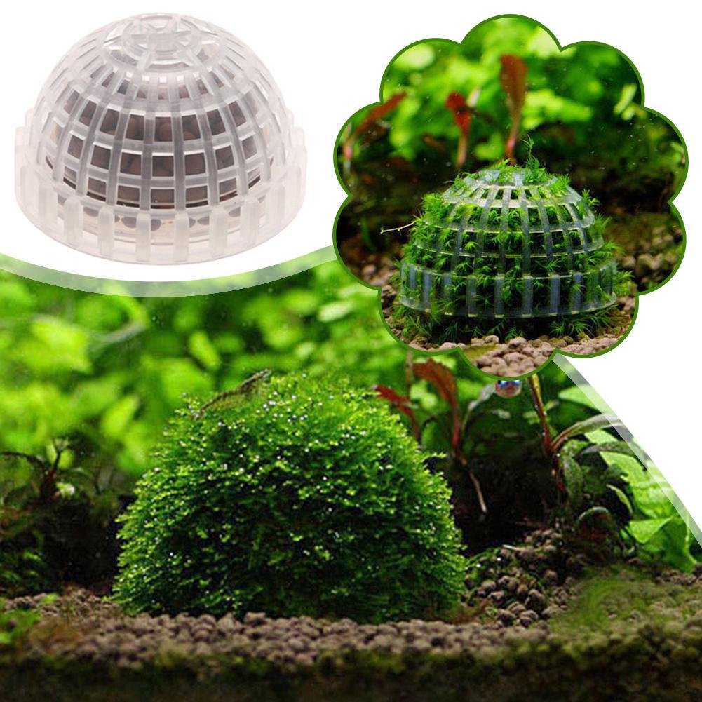 1/2/3/4/5 Stück Aquarium-Dekor – Aquarium Plant Red Bewertung und Preis