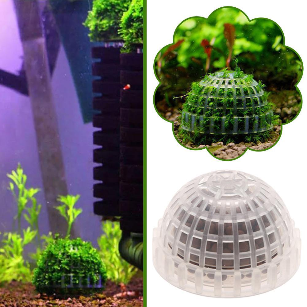 1/2/3/4/5 Stück Aquarium-Dekor – Aquarium Plant Red Bewertung und Preis